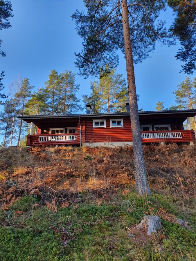 Pankkotupa 65 13А Villa Savonlinna Bagian luar foto
